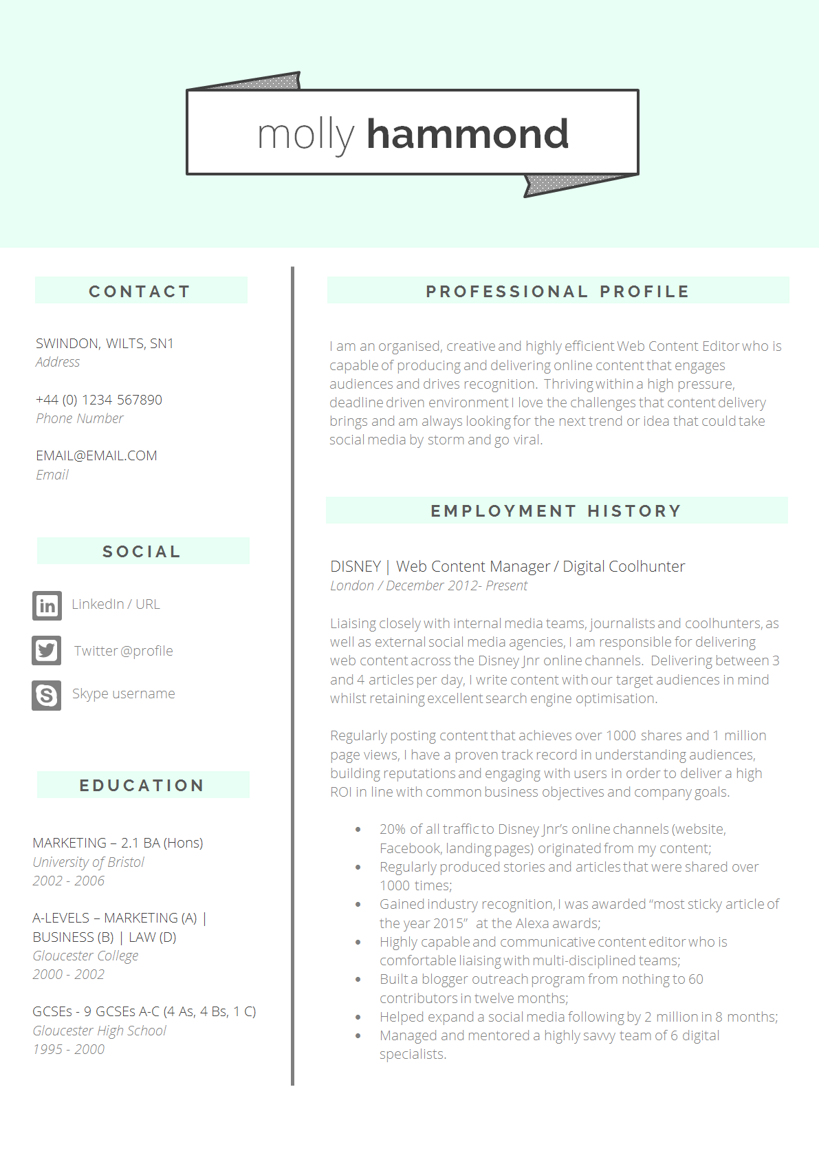 Professional CV Template