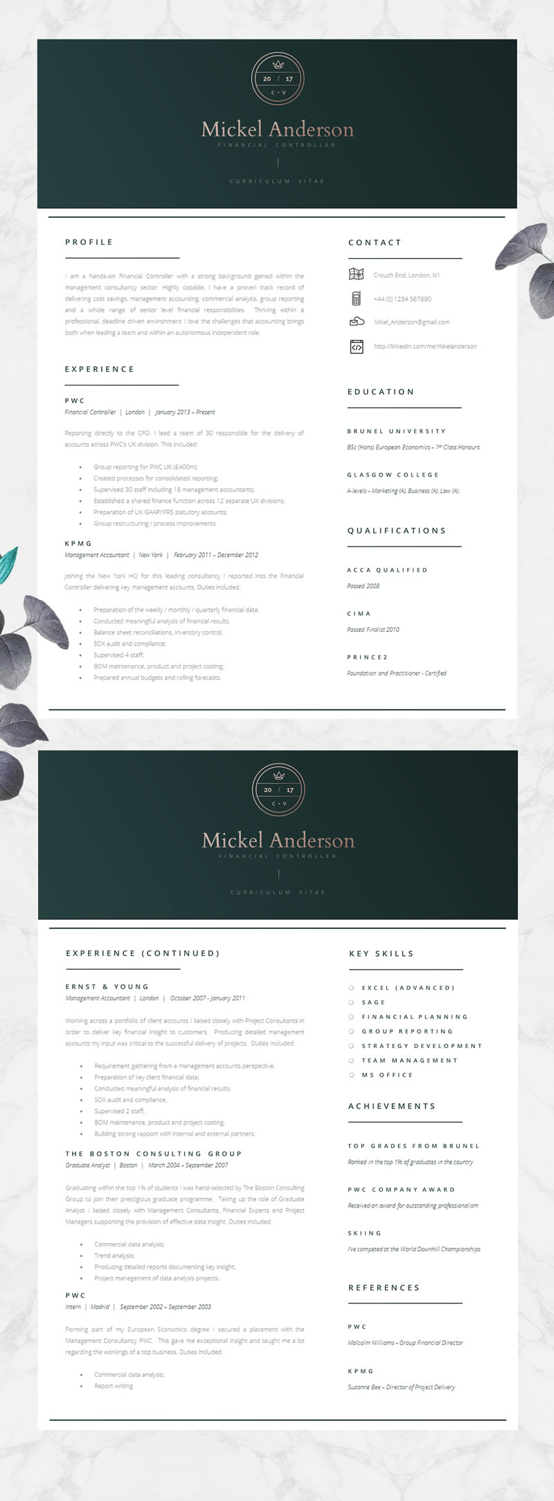CV for a financial controller in green and gold. CV, Finance CV, Green and White CV, Green CV