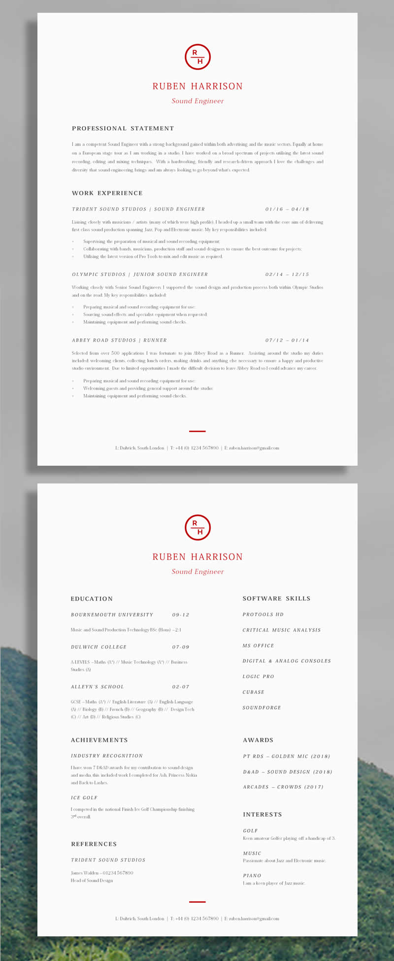 Simple CV example for business professionals