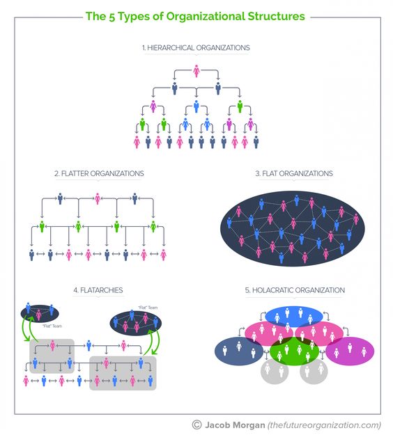 Organisational Structures